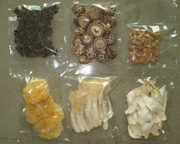 DRIED MUSHROOM