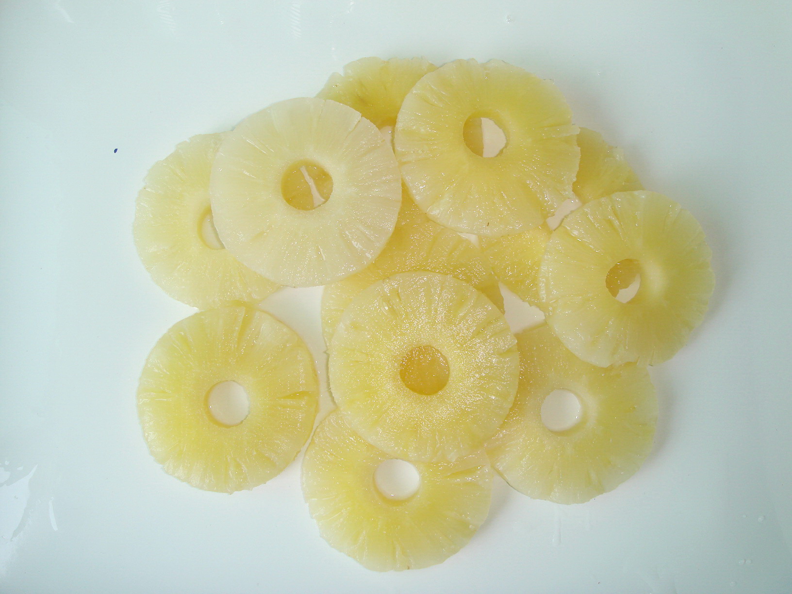 Canned Pineapple Slices in 567g