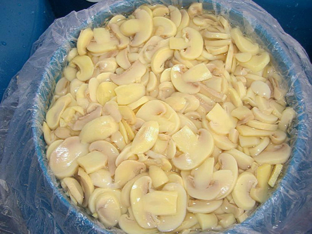 Chemical Mushroom Slices