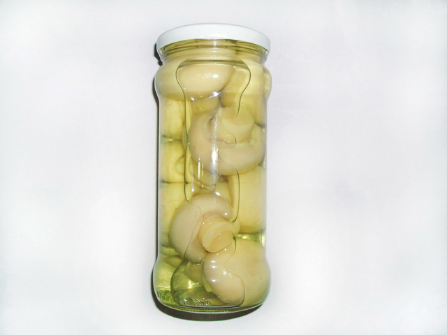 370ml Mushroom Whole in Glass Jar