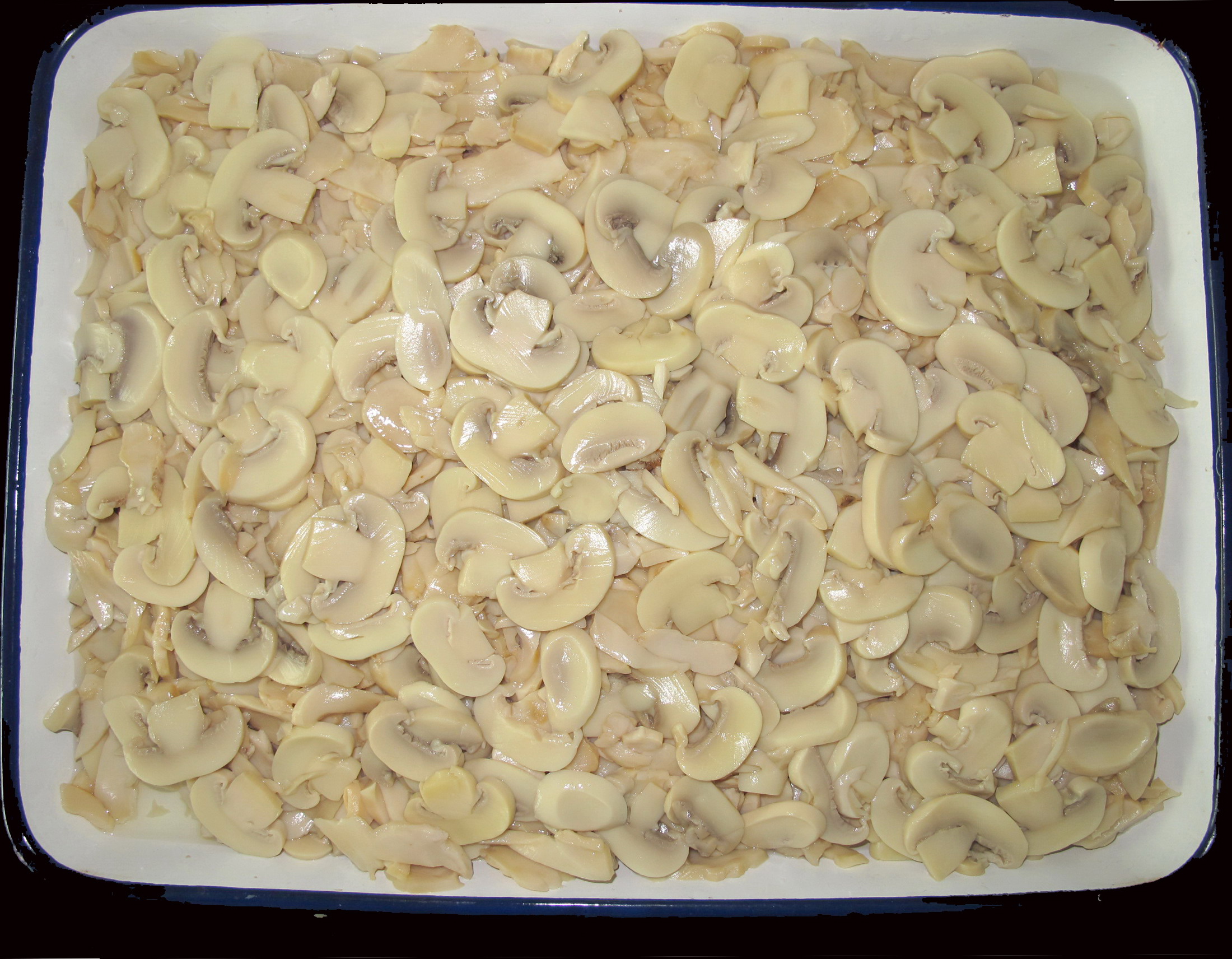Canned Mushroom Slices Mixed 2500g