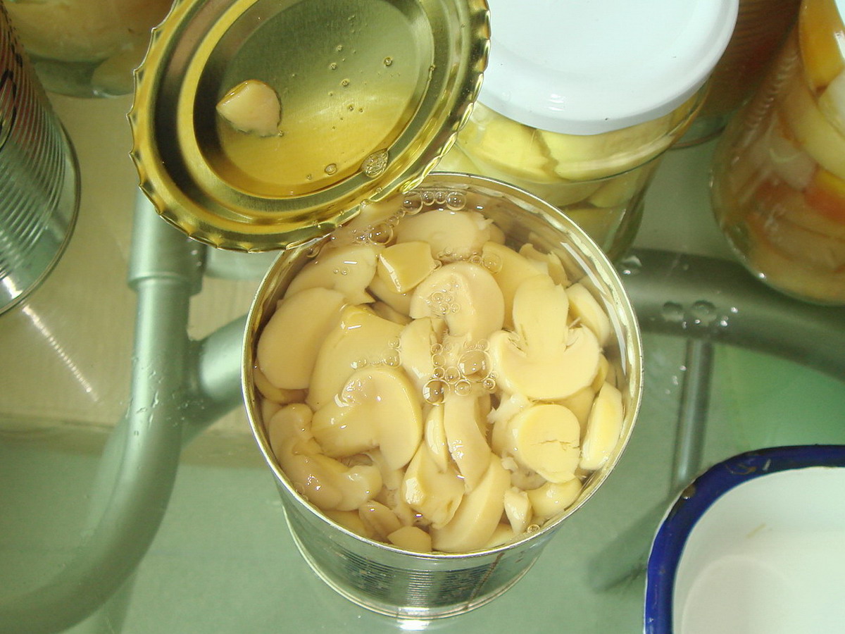 Canned Mushroom PNS 800G
