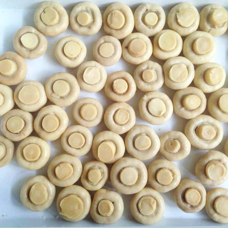 Canned Mushroom Whole Grade A 800g