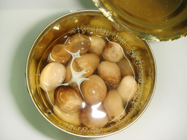 Canned Straw Mushroom Whole