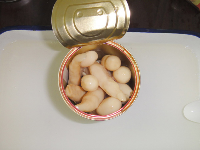 Canned Asparagus Mushroom in Tin Packing
