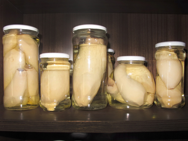 580ml Oyster Mushroom Whole in Jar