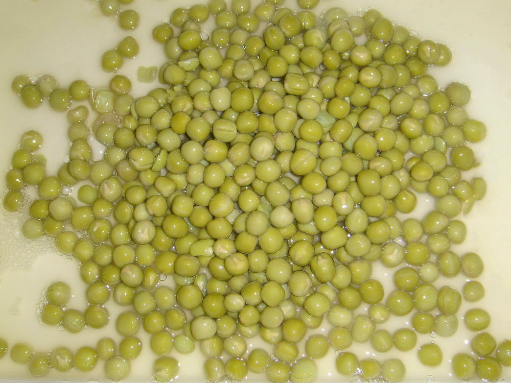 Canned Green Peas by fresh crop