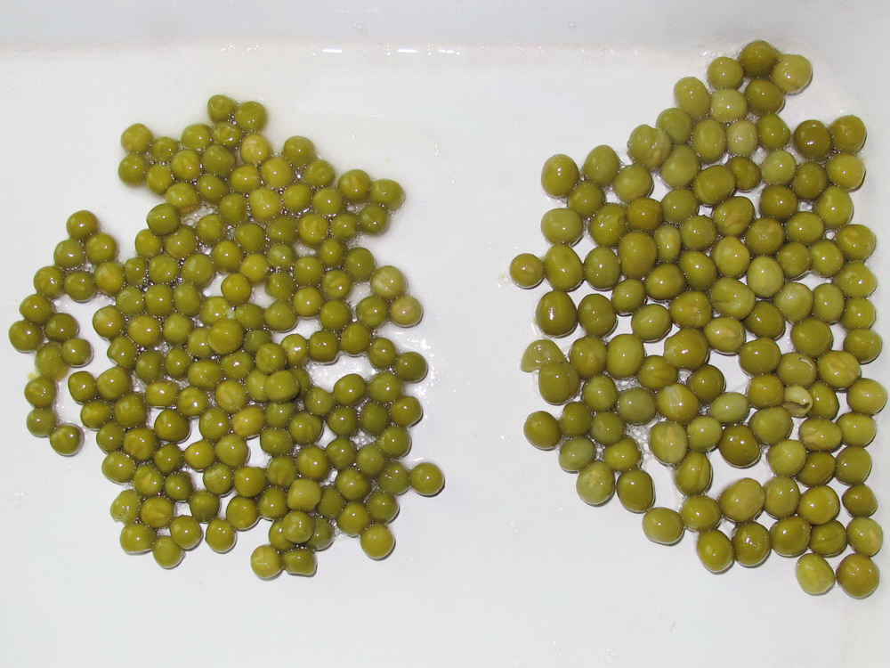 Canned Green Peas in 184g