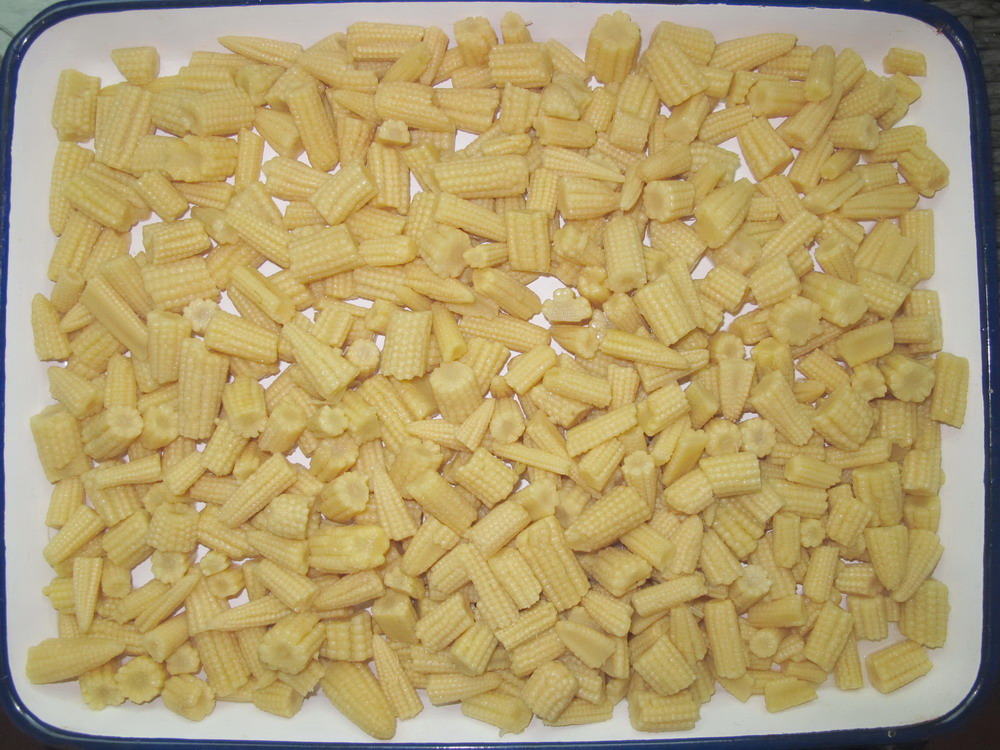 Canned Baby Corn Cut in 2840g