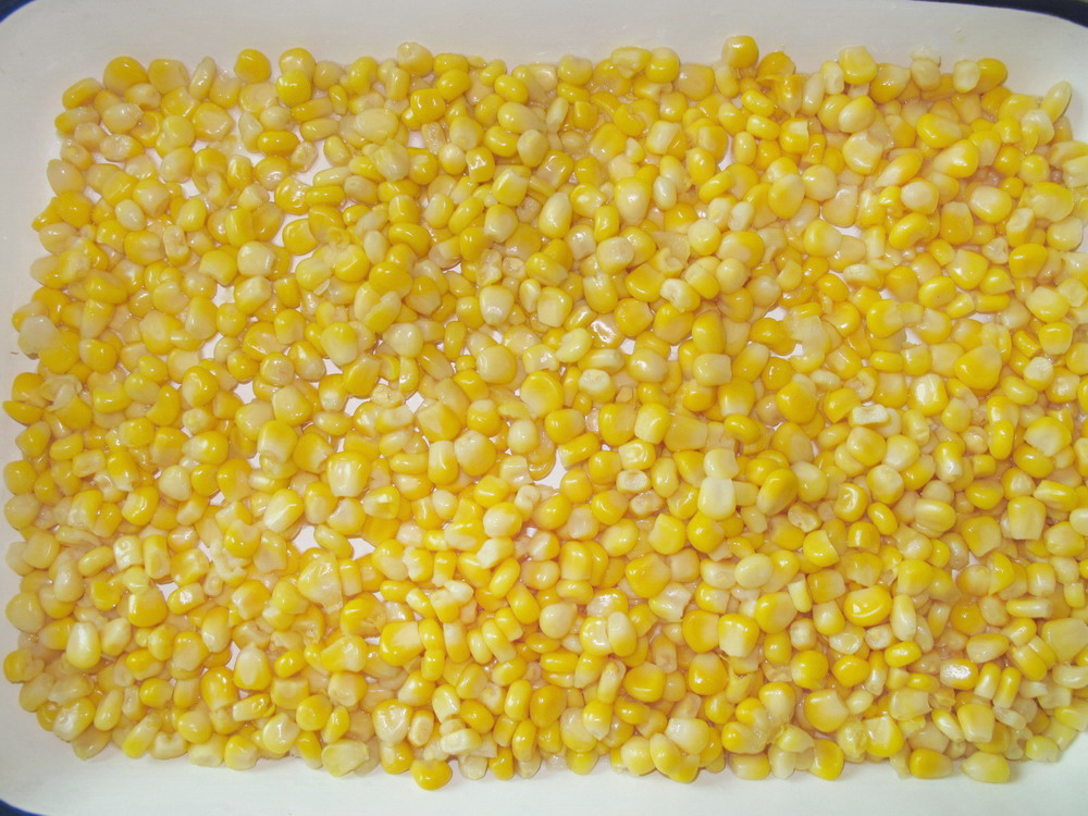 Canned Sweet Corn in 800g