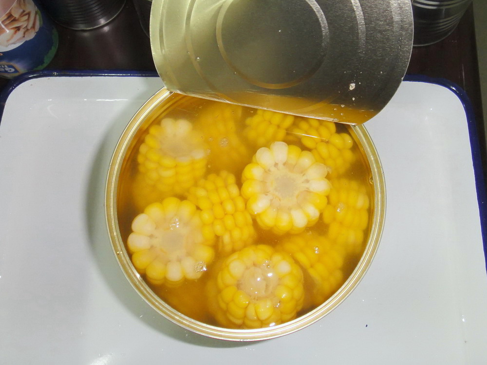 Canned Sweet Corn COB in 2840g