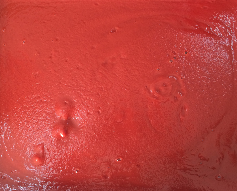 Canned Tomato Paste in 65kg drum packing