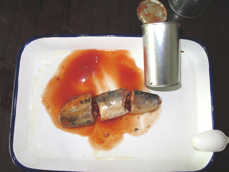 Canned Sardine in tomato sauce 155g