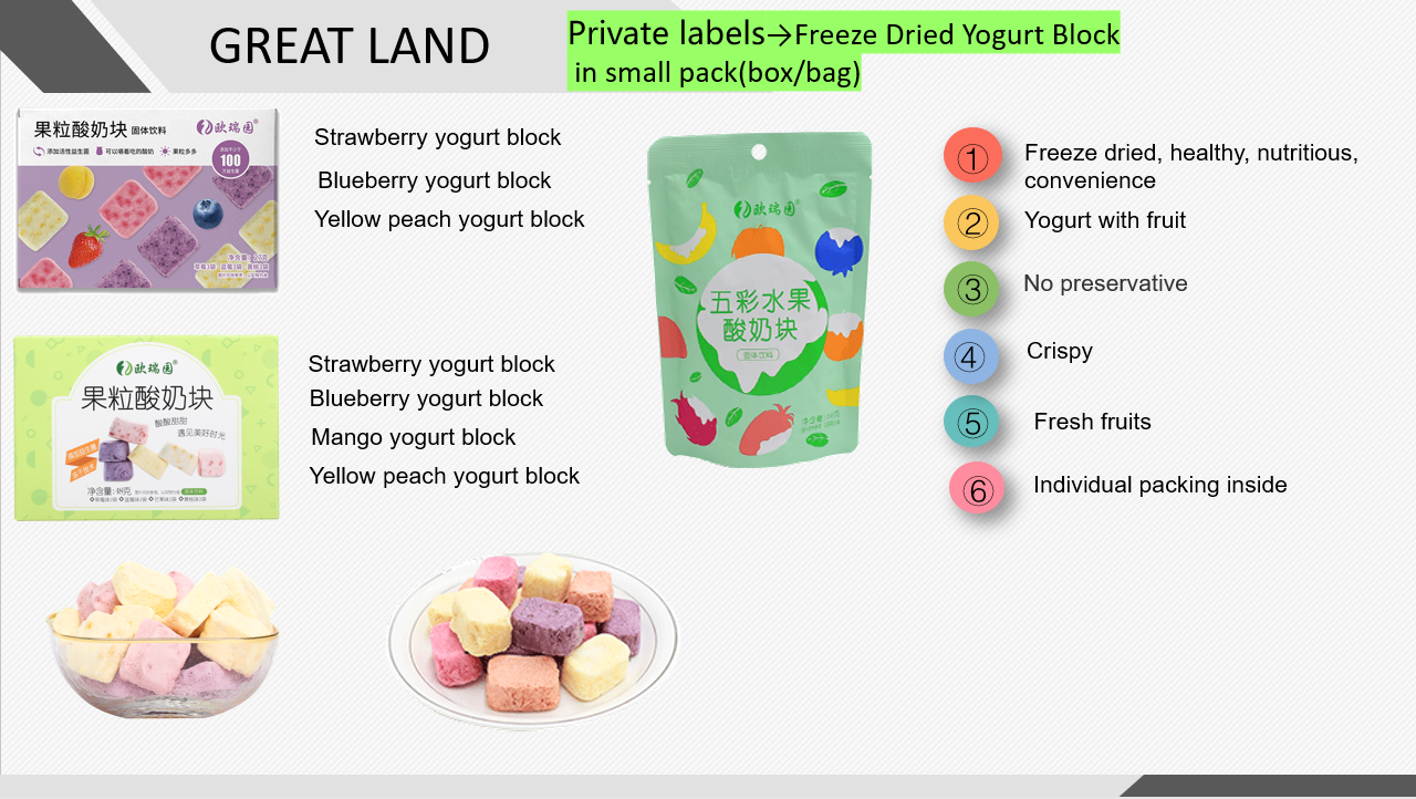 Freeze Dried Yogurt Block